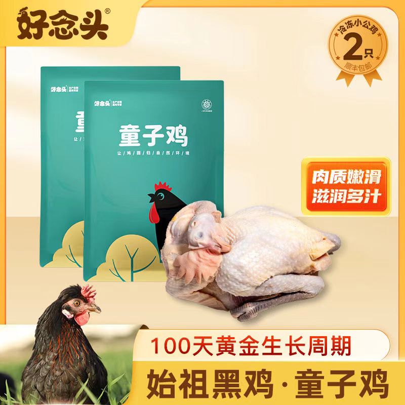 【好念头·始祖黑鸡 童子鸡】