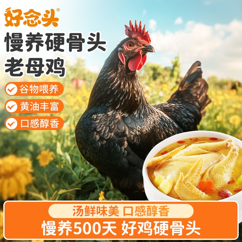 好念头黄油黑鸡老母鸡