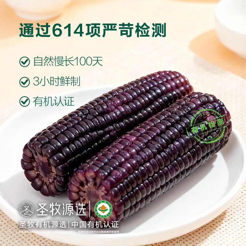 【黑土地有机黑糯玉米】有机认证富含花青素玉米健康轻食1.76kg