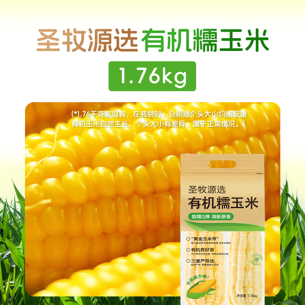 【黑土地有机种植黄糯玉米】甜糯Q弹家庭装1.76kg早餐零食