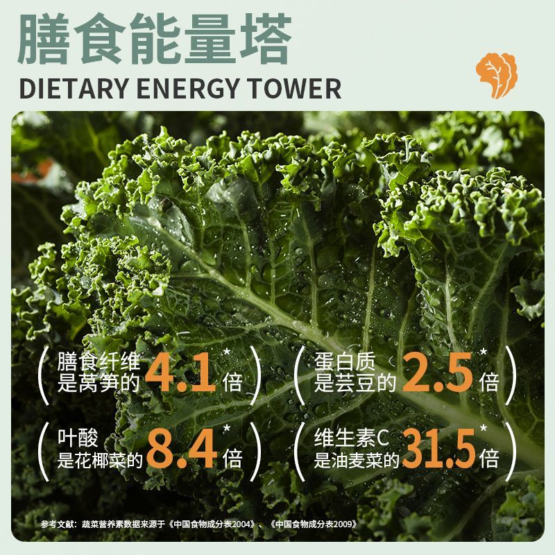 【羽衣甘蓝挂面】蔬菜高营养膳食纤维丰富适合健身人群日