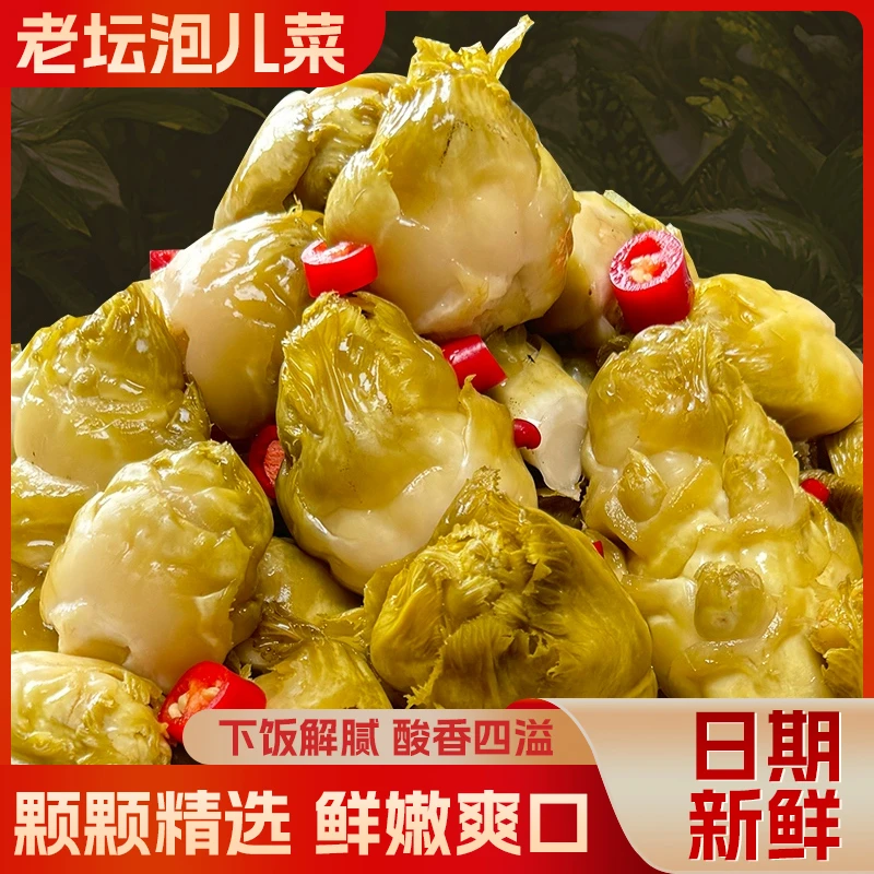 【木鱼山泡儿菜清脆爽口】泡菜类清脆爽口适合下饭家庭食用