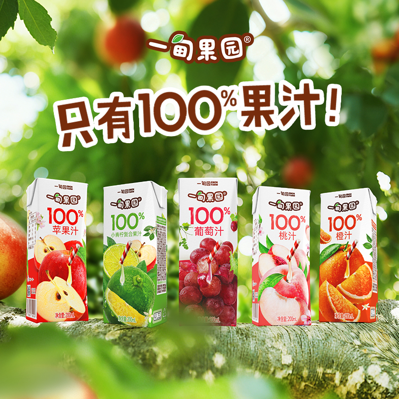 一甸果园100%多口味果汁200ml利乐纯果蔬汁多种口味适合全家饮用