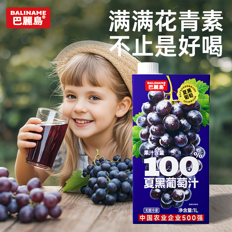 巴丽岛100%夏黑葡萄 1L*4盒 纯果汁饮品富含花青素