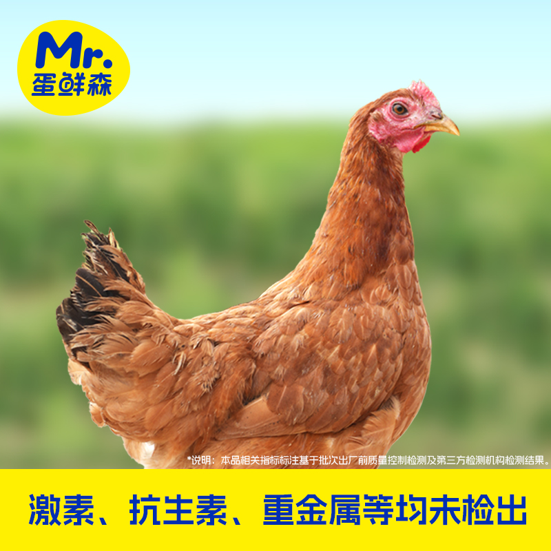 蛋鲜森900克童子鸡3只装清蒸更美味