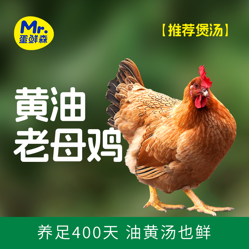 蛋鲜森400天黄油老母鸡煲汤美味