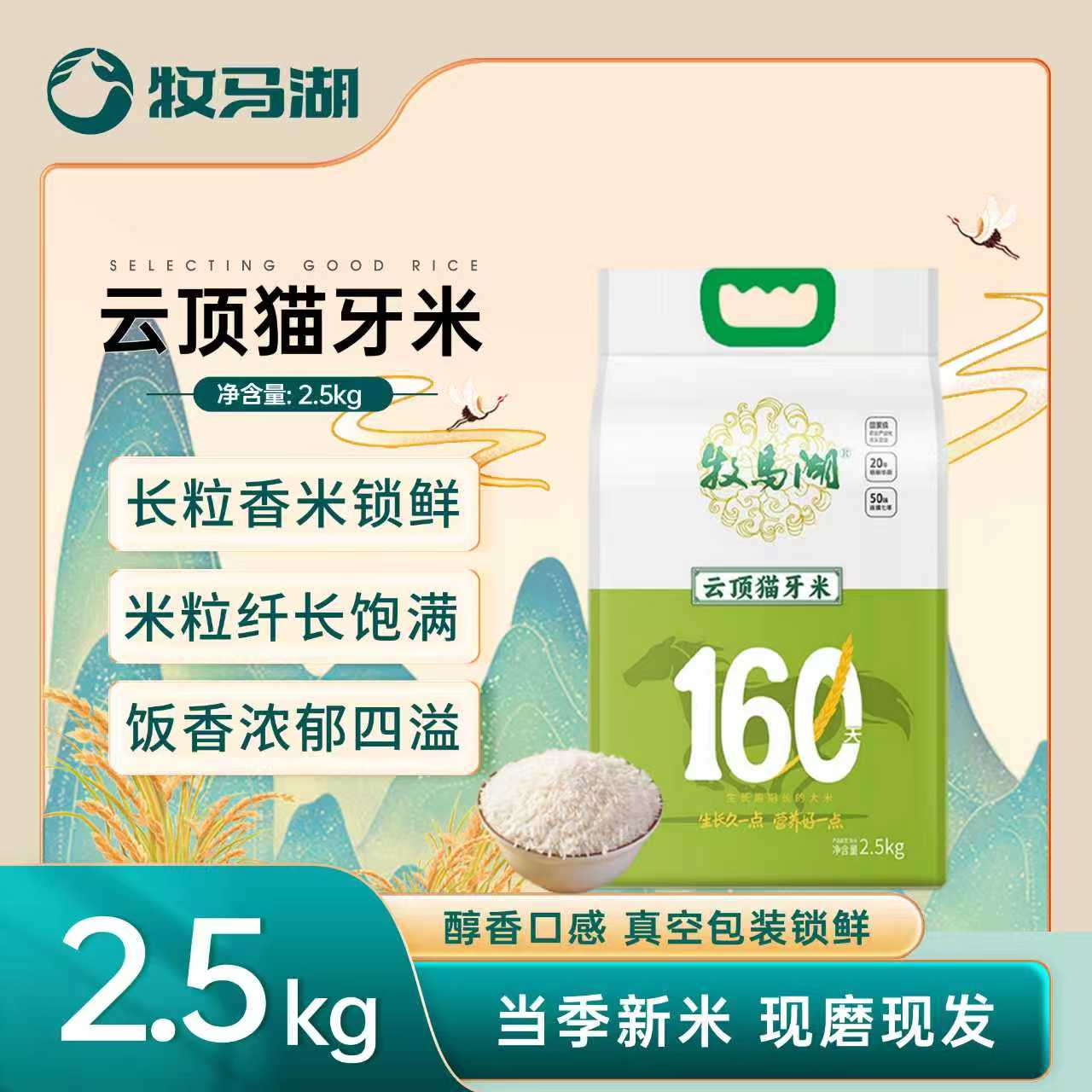 【牧马湖云顶猫牙米2.5kg】优质大米猫牙米长粒米籼米当季新米