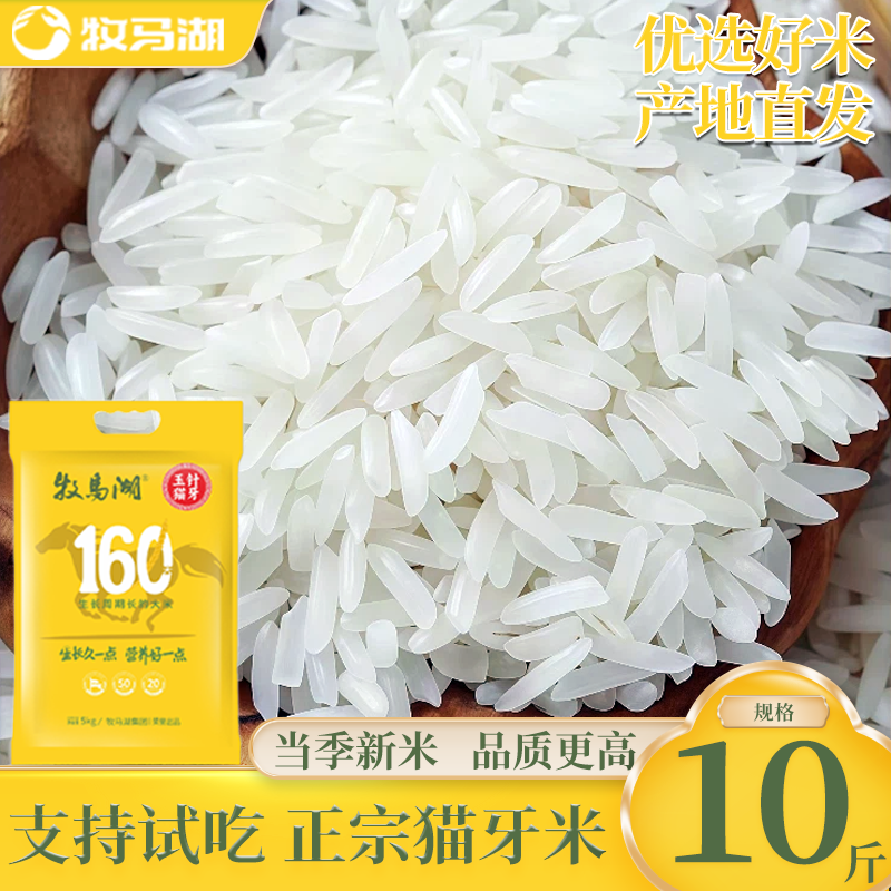 【牧马湖玉针猫牙米5kg】优质大米猫牙米长粒米籼米当季新米