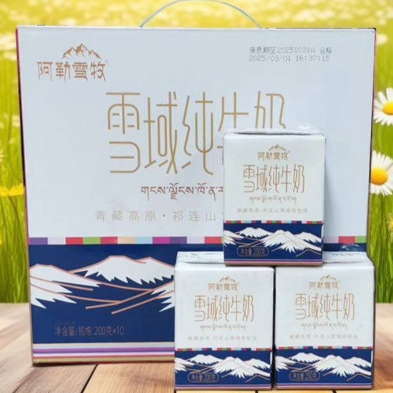 【阿勒雪牧雪域纯牛奶】高原奶源营养丰富奶味十足(不低于31.8)
